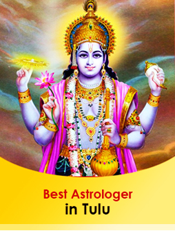 Best astrologer in Tulu